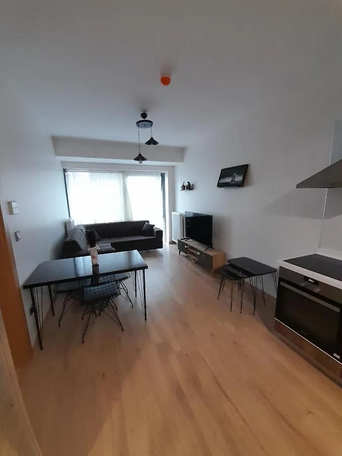 Fikirtepe Apartment Istanbul